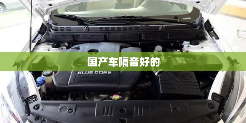 国产车隔音好的
