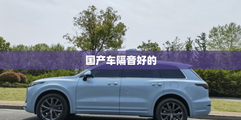 国产车隔音好的