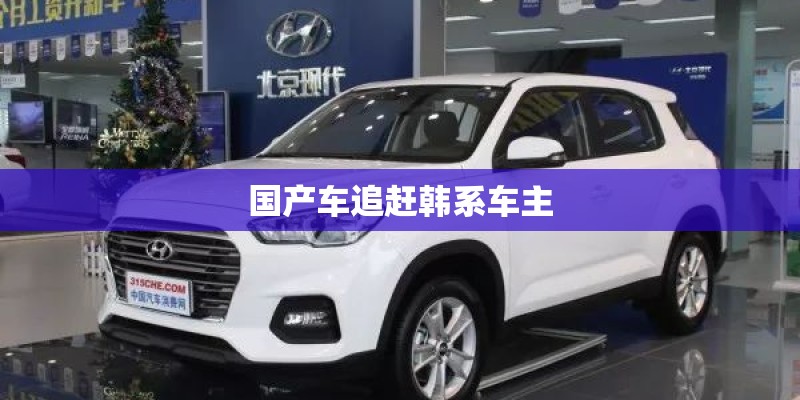 国产车追赶韩系车主