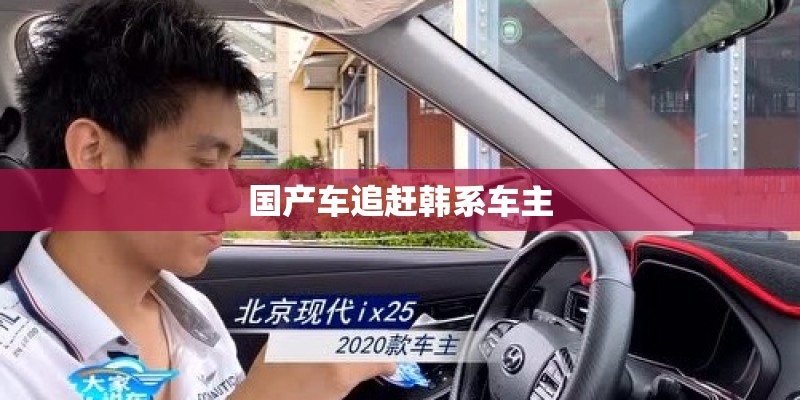 国产车追赶韩系车主