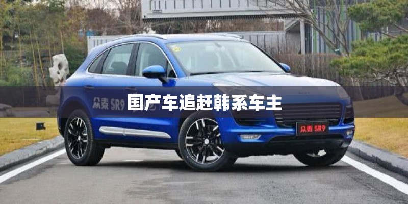 国产车追赶韩系车主