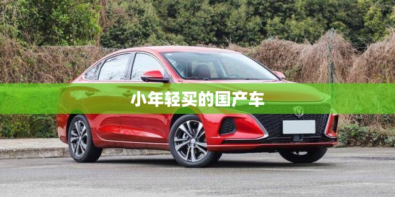 小年轻买的国产车