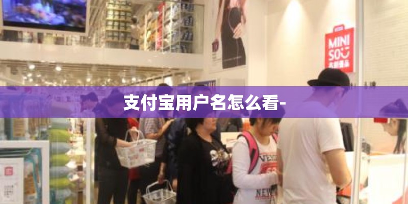 支付宝用户名怎么看-