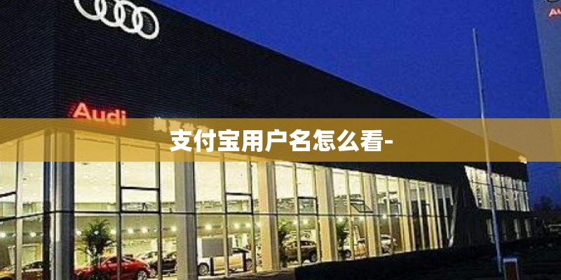 支付宝用户名怎么看-