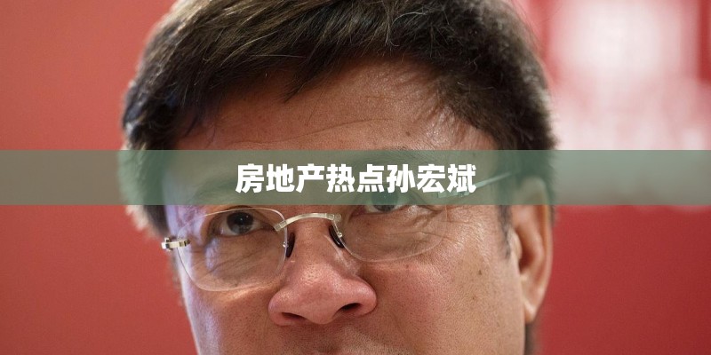 房地产热点孙宏斌
