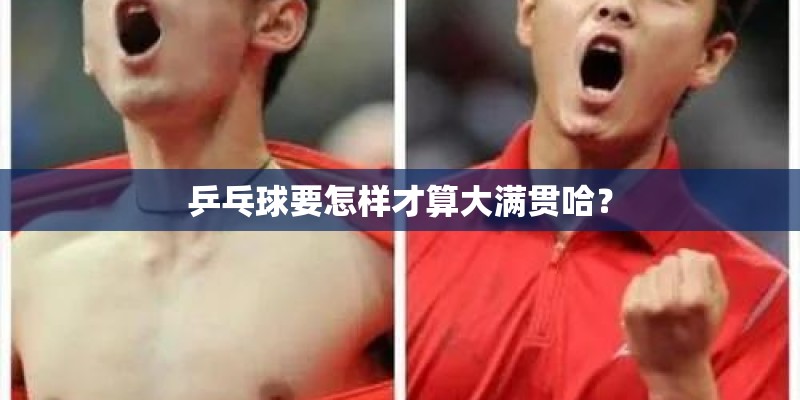 乒乓球要怎样才算大满贯哈？