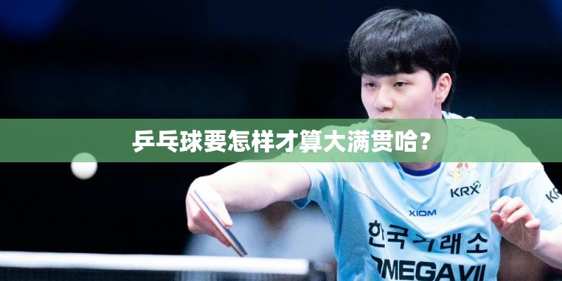 乒乓球要怎样才算大满贯哈？