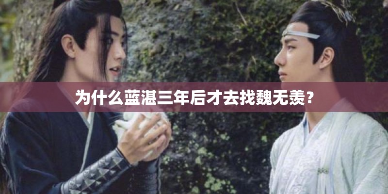 为什么蓝湛三年后才去找魏无羡？