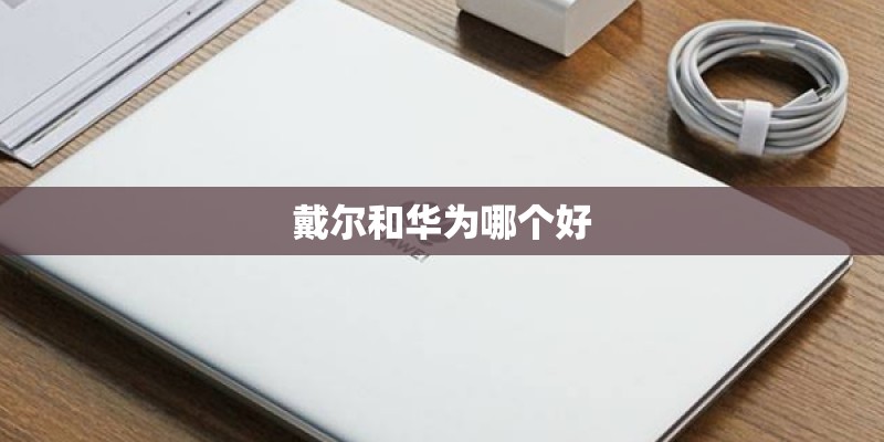 戴尔和华为哪个好