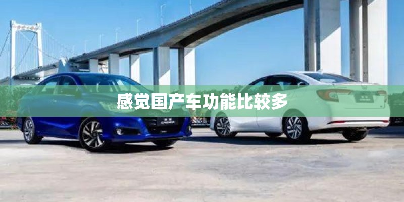 感觉国产车功能比较多