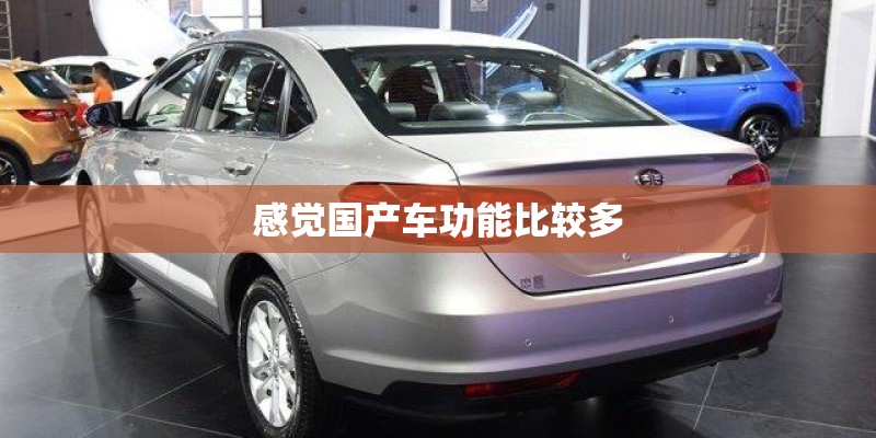感觉国产车功能比较多