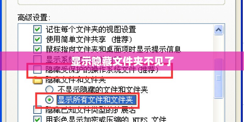 显示隐藏文件夹不见了