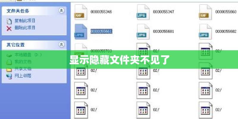 显示隐藏文件夹不见了