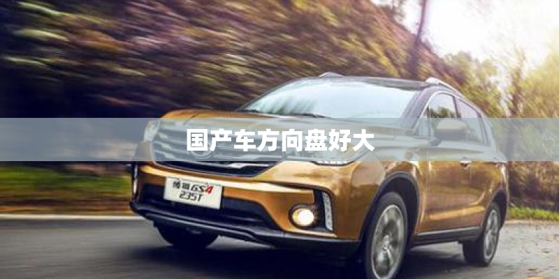 国产车方向盘好大