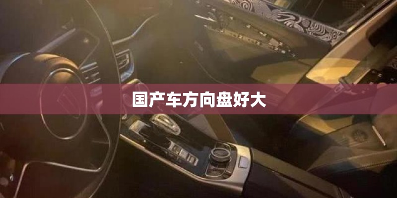 国产车方向盘好大