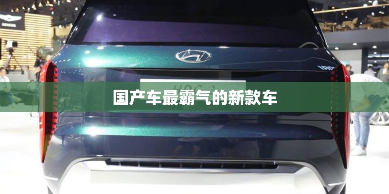 国产车最霸气的新款车