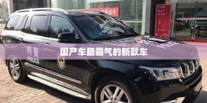 国产车最霸气的新款车