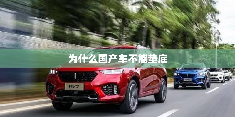 为什么国产车不能垫底