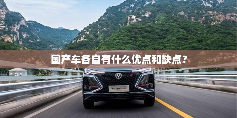 国产车各自有什么优点和缺点？
