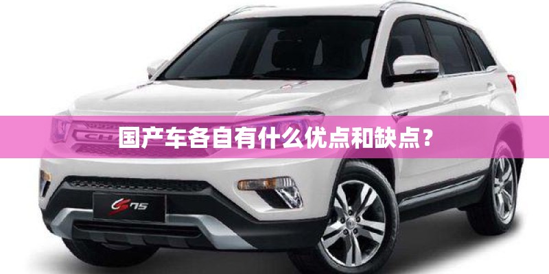 国产车各自有什么优点和缺点？