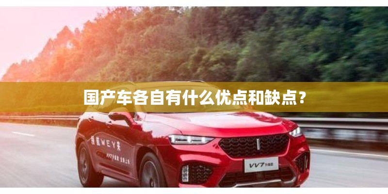 国产车各自有什么优点和缺点？