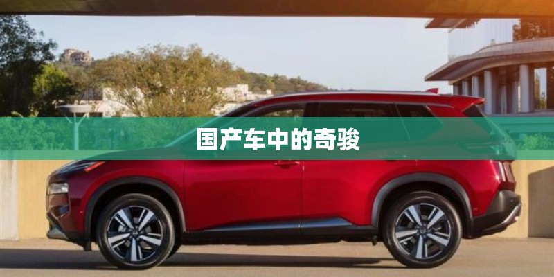 国产车中的奇骏