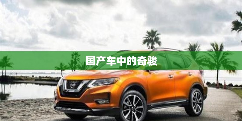 国产车中的奇骏