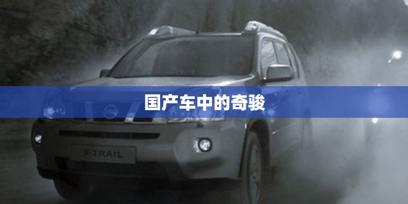 国产车中的奇骏