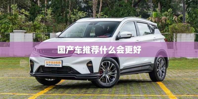 国产车推荐什么会更好