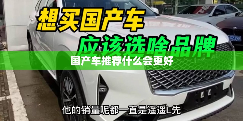 国产车推荐什么会更好