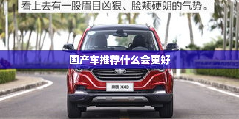 国产车推荐什么会更好