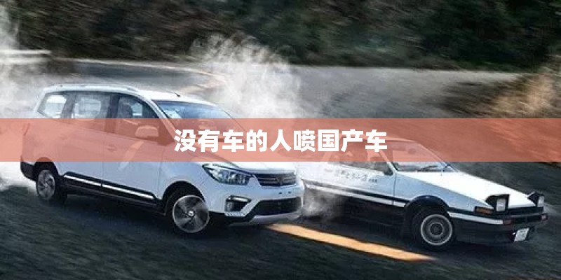 没有车的人喷国产车