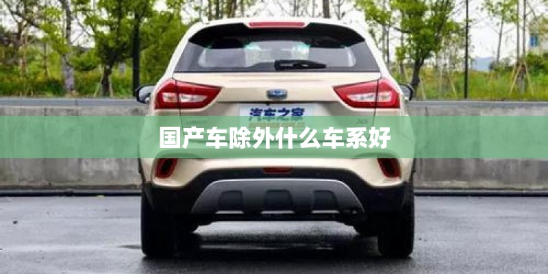 国产车除外什么车系好