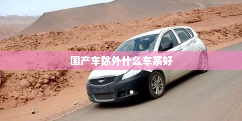 国产车除外什么车系好