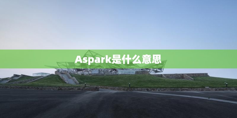 Aspark是什么意思