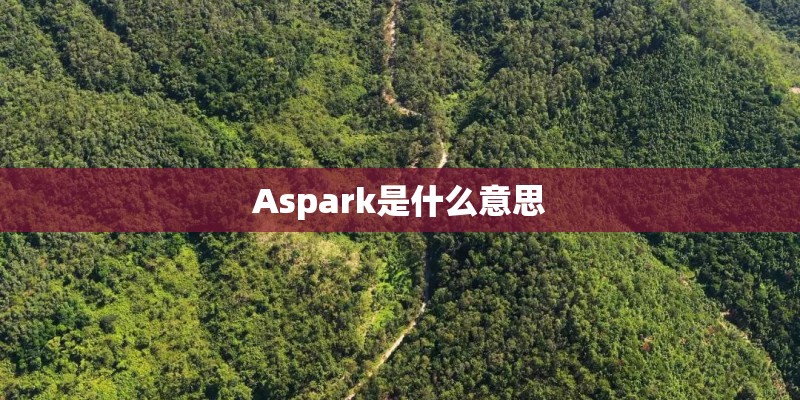 Aspark是什么意思