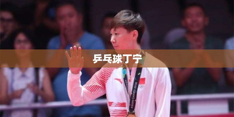 乒乓球丁宁