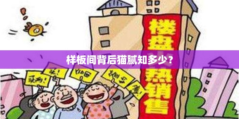 样板间背后猫腻知多少？