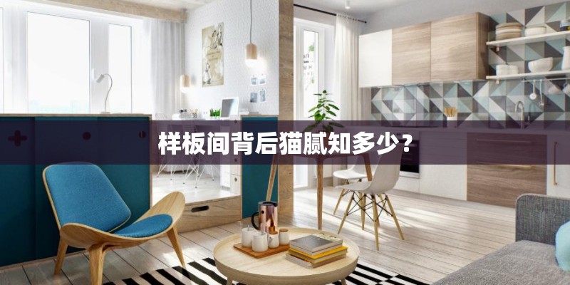 样板间背后猫腻知多少？