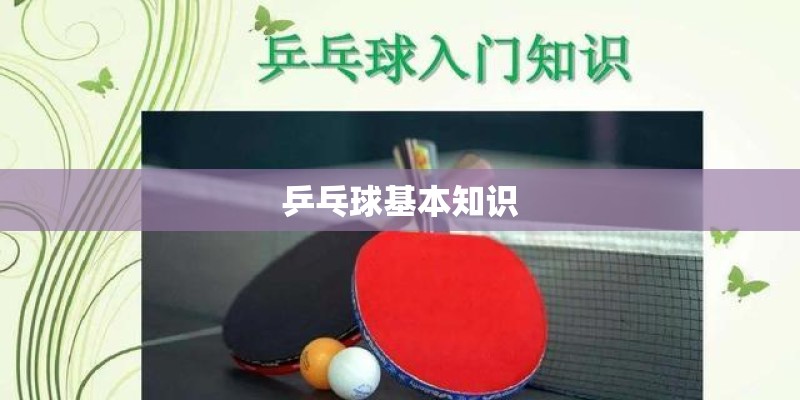 乒乓球基本知识