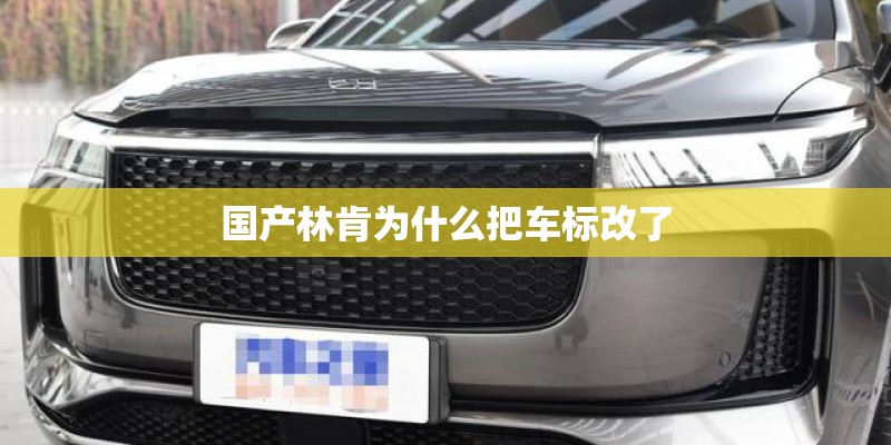 国产林肯为什么把车标改了