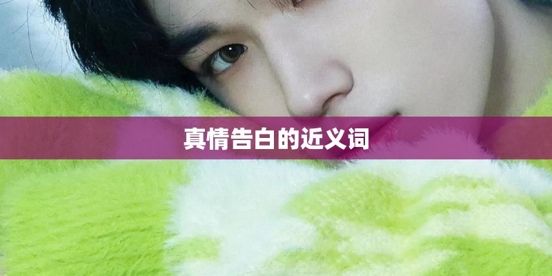 真情告白的近义词