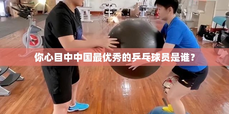 你心目中中国最优秀的乒乓球员是谁? 你心目中中国最优秀的乒乓球员是谁?