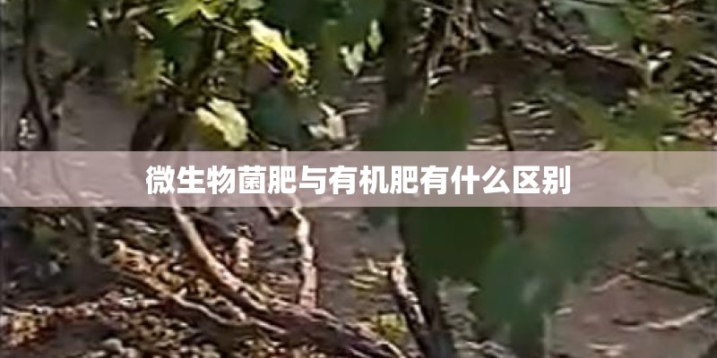 微生物菌肥与有机肥有什么区别