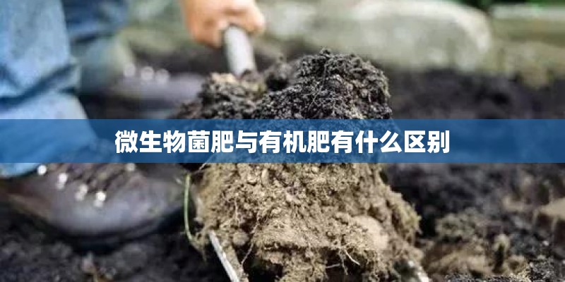 微生物菌肥与有机肥有什么区别