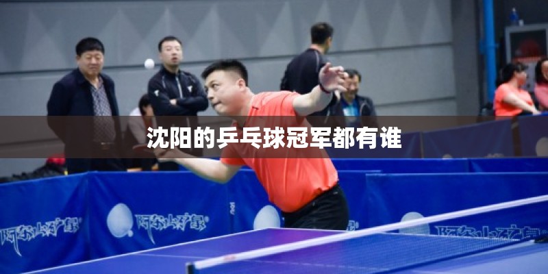 沈阳的乒乓球冠军都有谁