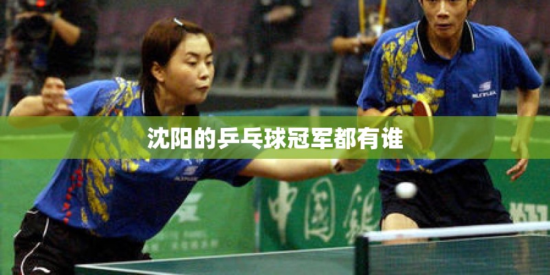 沈阳的乒乓球冠军都有谁