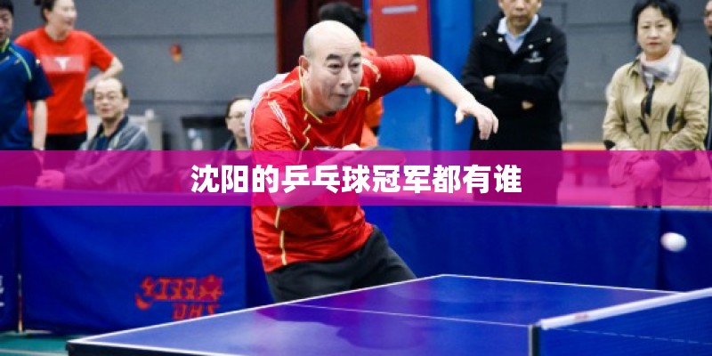 沈阳的乒乓球冠军都有谁
