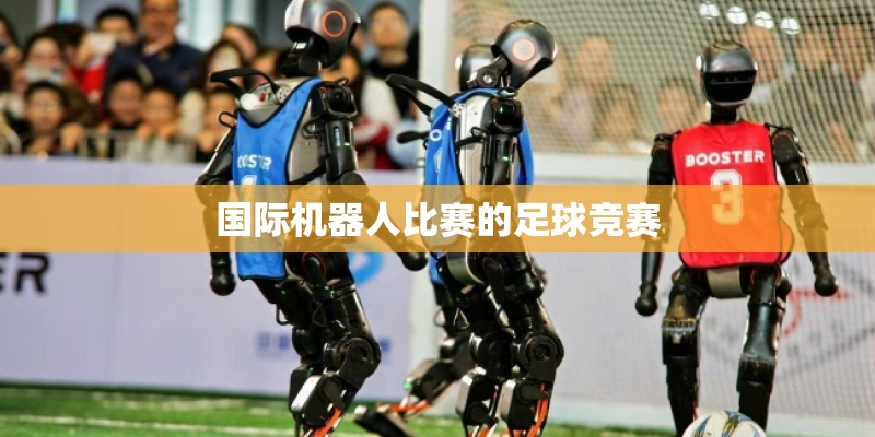 国际机器人比赛的足球竞赛