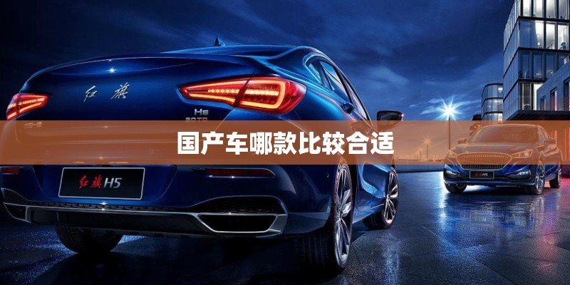 国产车哪款比较合适